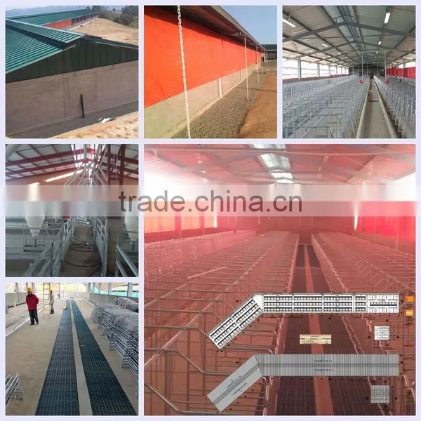 Pig Equipment Pig Farming Systemfor Pigs photo-5