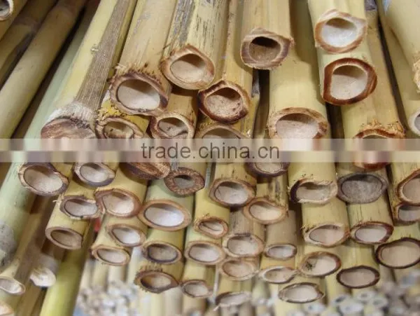 WY-221High Quality Bamboo Poles Bamboo Canes Bamboo Stakes in Raw Materials for Agriculture photo-2