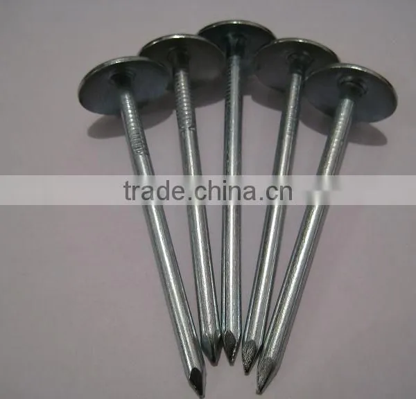 Umbrella Head Roofing Nails photo-5