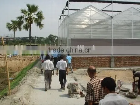 Polycarbonate Greenhouse For Sale photo-3
