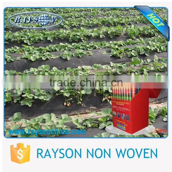 Wholesale 20-320cm Width Recyclable Landscape Fabric Agriculture Cover photo-4