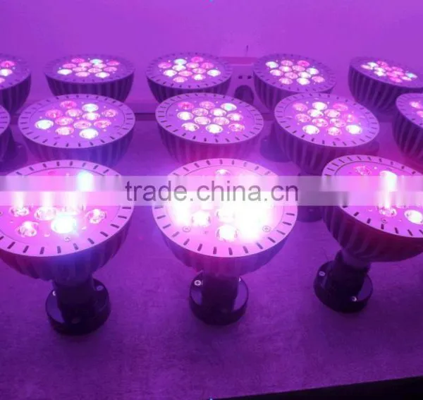 Warm White Indoor Plant Light ,par Light,led Lighting photo-2
