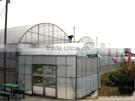 Hot-Dip Galvanized Steel Pipe Frame And 150mm PE Film Covered Multi-Span Greenhouse For Vegetables photo-2