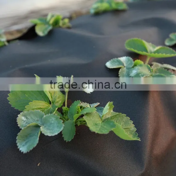 Argrecutural Nonwovens PP Spunbonded Non-Woven Fabric for Agricultural Us photo-3