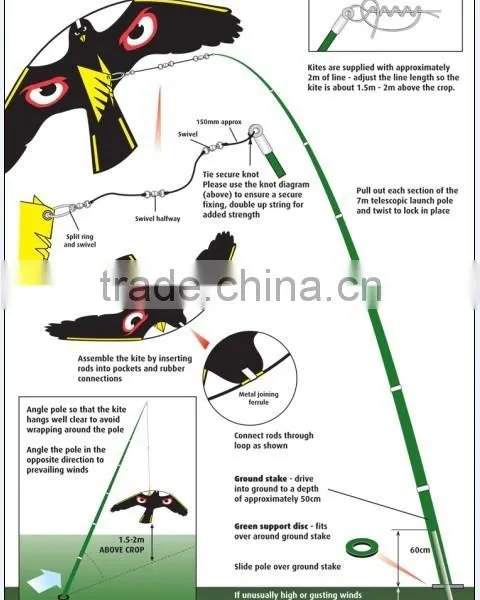 Scare Bird Kite photo-2