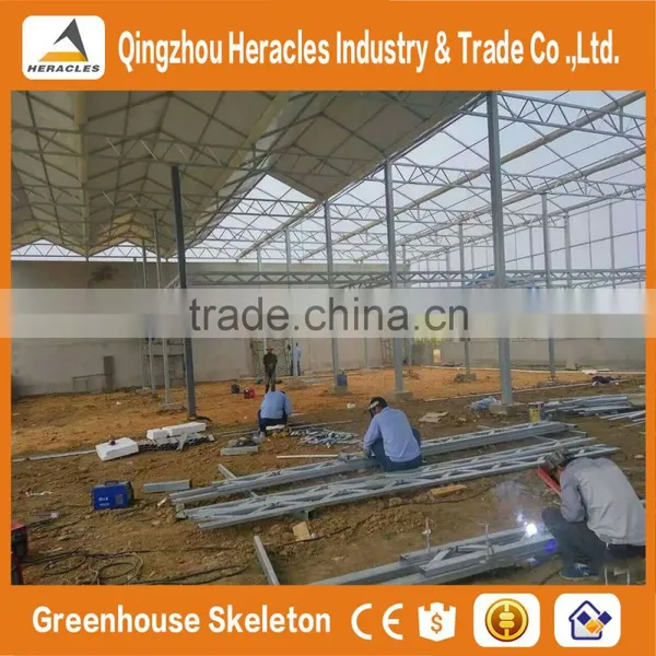 Factory Price Trade Assurance Greenhouse Equipment - Green House Plastic Sheet for Agriculture photo-3