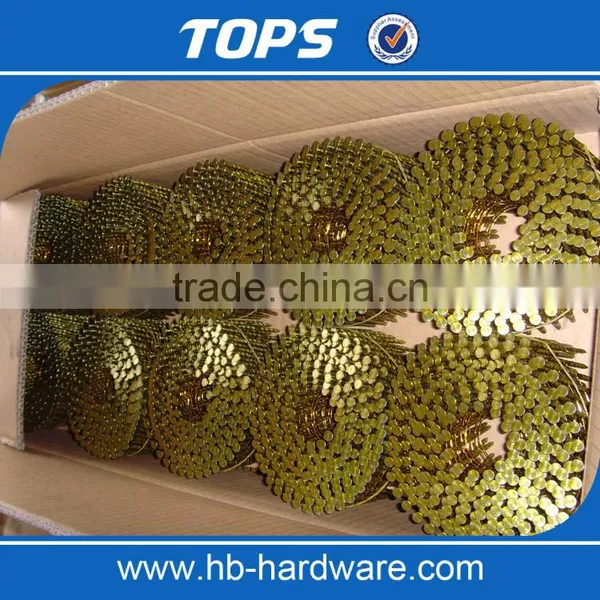 Factory Wholesale Screw Shank / Smooth Wire Coil Nail photo-4