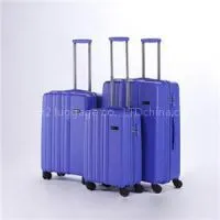 Hard Sided Luggage