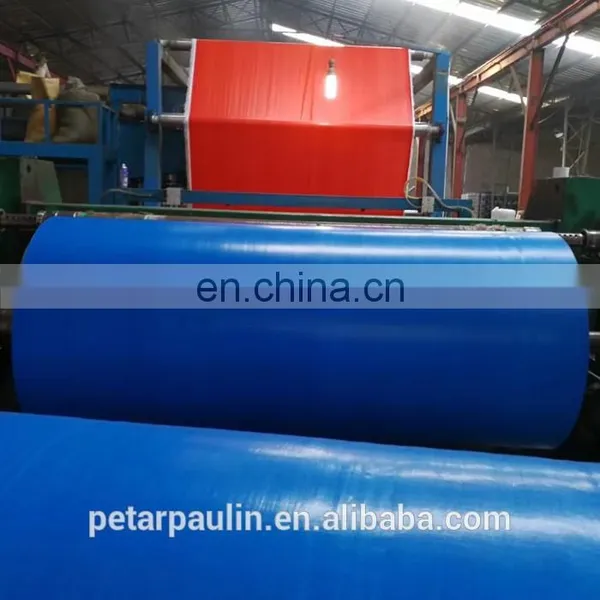 China Tarpaulin Factory Supply Waterproof pe Tarpaulins Sheet photo-6