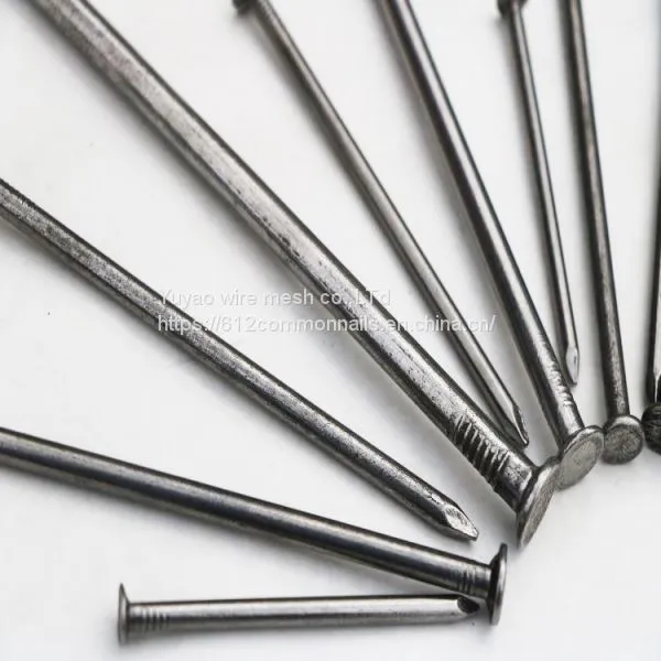 6 Inch Wire Iron Nails photo-3
