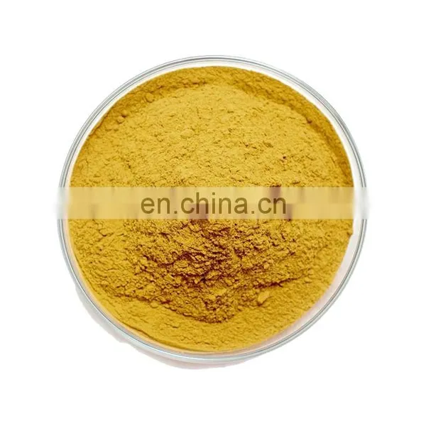 Hot Sale Fruit Powder Dried Sea Buckthorn Fruit Powder Sea Buckthorn Extract Powder photo-3