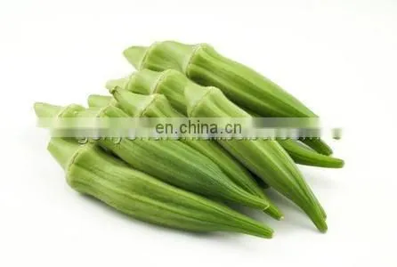 Okra Slicer Machine for the Sliced Drying Vegetable Processing photo-3