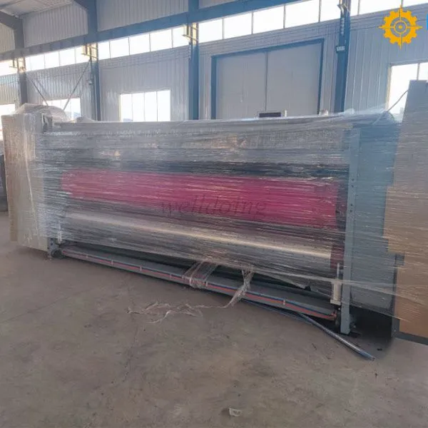 Chain Conveyor Flexo Printer photo-4