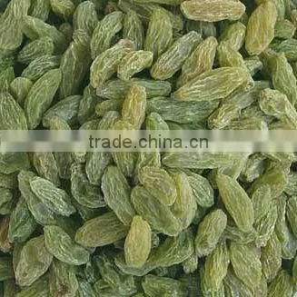 Golden Raisin Yellow Raisin Green Raisin photo-5