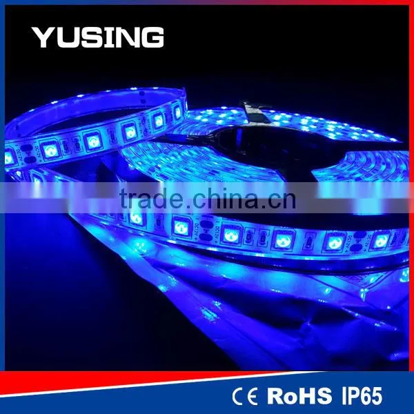 DC 12V/24V 60 LEDs/Meter 5050 SMD Waterproof RGB LED Strip IP68 photo-3