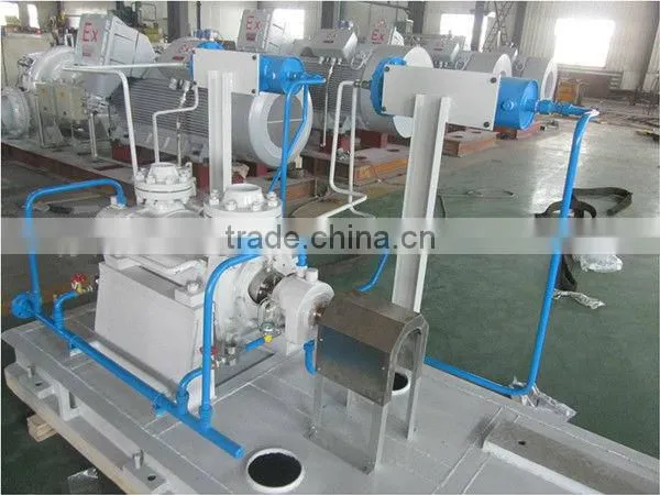 Cast Steel API 610 RMD Type Chemical Pump for Power Plant photo-2