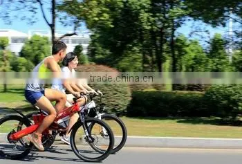 Seagull,kids Balance Motor Battery Range Extender Electric Bicycle photo-4
