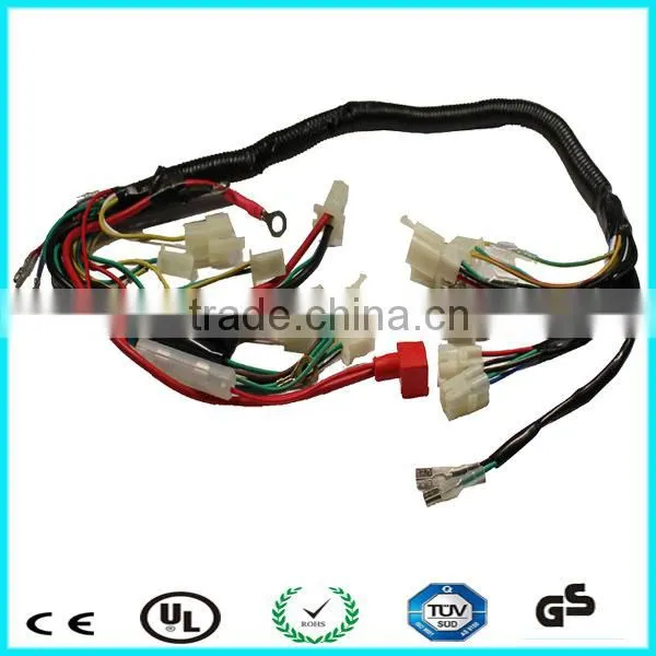 Ecu Wire Harness With High Quality photo-5