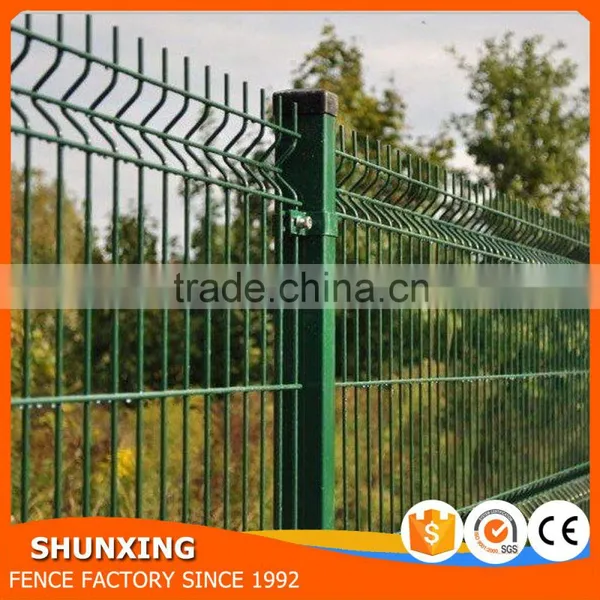 RAL 6005 Hot Dipped Galvanized Mesh Fence for Sale photo-5