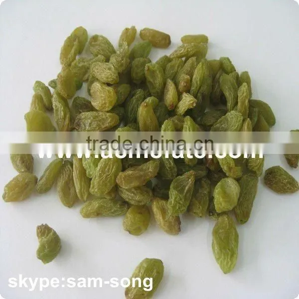 Big Size Sweet Green Raisin Hot Sale photo-3