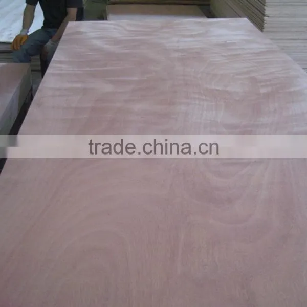 White Laminated Plywood Sheet,bintangor Plywood photo-2