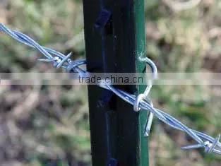 Green Color Coated 1.24lb Iron T-Post With Clips photo-2