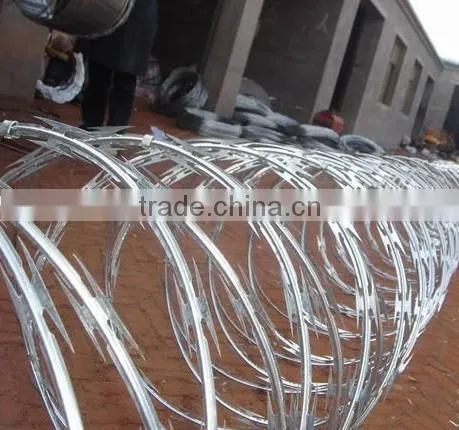 Wholesale CBT-65 Hot-dipped Galvanized Razor Barbed Wire photo-3