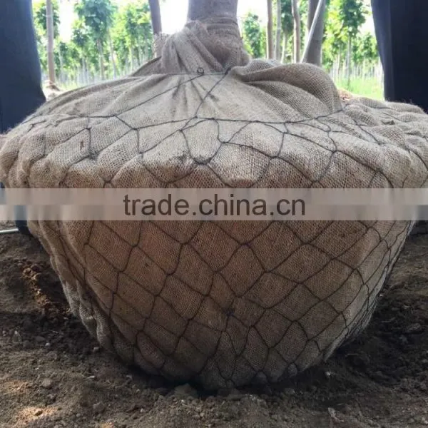 Tree Basket or Root Ball Netting photo-3