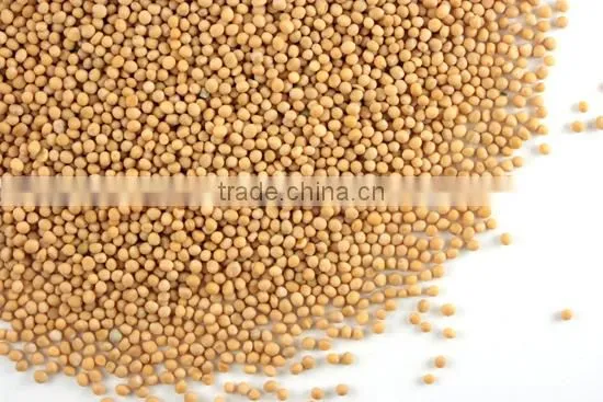 Yellow Mustard Seeds photo-3