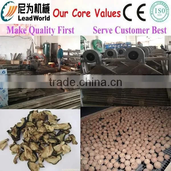 Professional Industrial Fruit Drying Machine/food Dehydrator Machine/fruit and Vegetable Dehydration Machine/longan Dryer