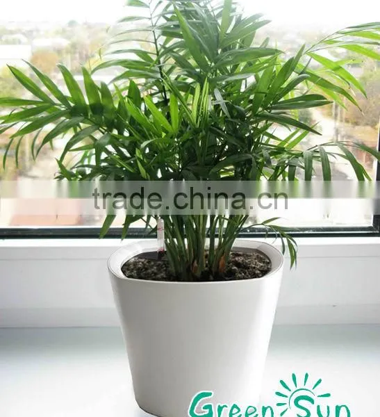 2016 Hot Sale Self-watering Planter,fashion Style Cheap Outdoor Living Plastic Planting Pots,grand Flower Pot photo-4