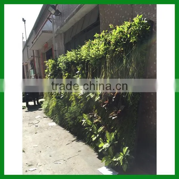 FO-GW018 Outdoor Green Plant Wall for Decor photo-3