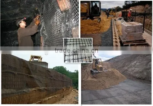 Geogrid photo-2