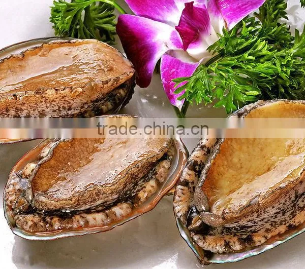 Frozen Seafood Exporter 100% Natural Frozen Abalone photo-3