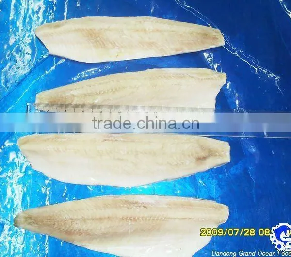 Frozen Herring Fillet IQF Seafood photo-2