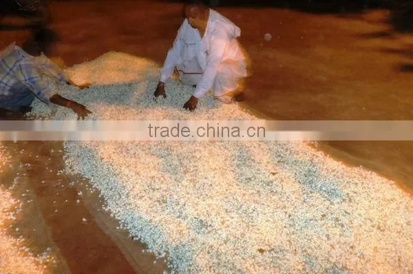 Jasmine Sambac Oil photo-4