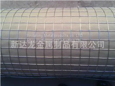 Electric/Cold Galvanized Square Welded Wire Mesh photo-5
