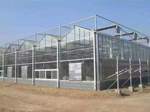 Glass Greenhouse 9.6m/10.8m Multispan Glass Greenhouse