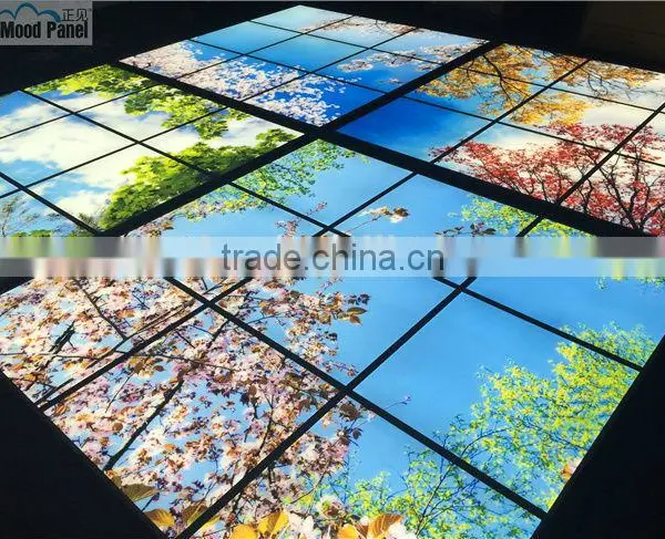 2015 Japanese Style Sakura Sky Ceiling Panel photo-6