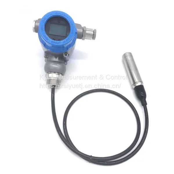 Putting-into-type Liquid Level Meter photo-3