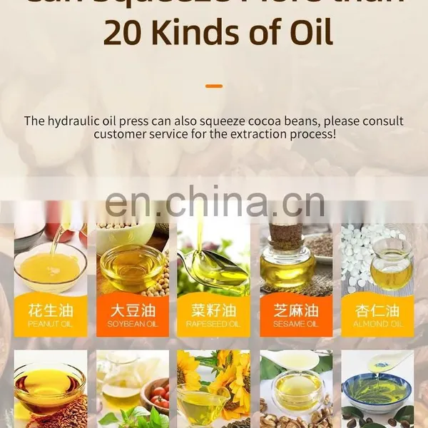 Hydraulic Oil Cottonseed Oil Teaseed Oil Pressing Machine Cold & Hot Pressing Machine photo-3