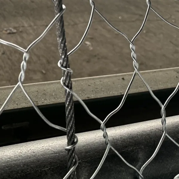 Wholesale PVC Coating HR Netting System Double Torsion Mesh Rockfall Protection Netting for Rockfall photo-4