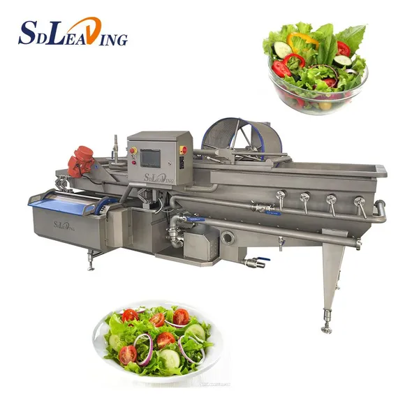 Industrial Vegetables and Fruit Washing Machine Commercial Automatic Bubble Spray Washer Equipment for Food Processing Plant photo-2