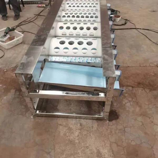 Easy Operation Barrel Stage Type Machine Persimmon Fruit Selection Machine Onion Screening Machine photo-6