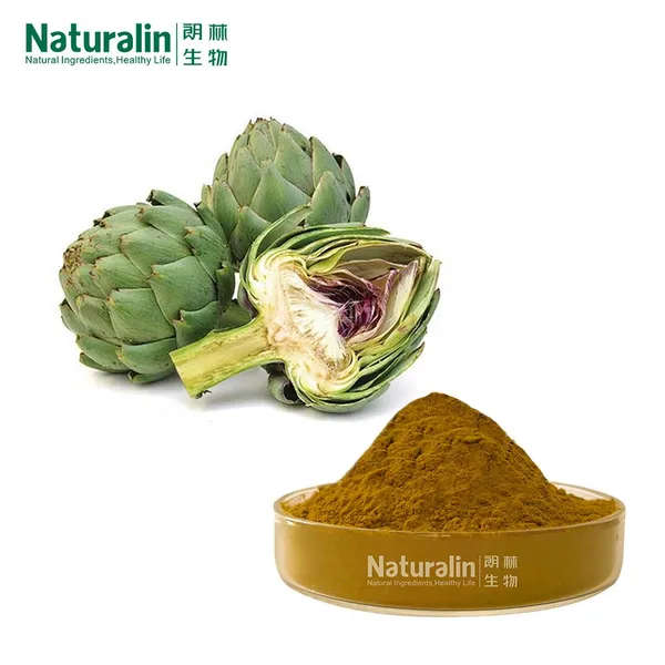 Artichoke Extract photo-4