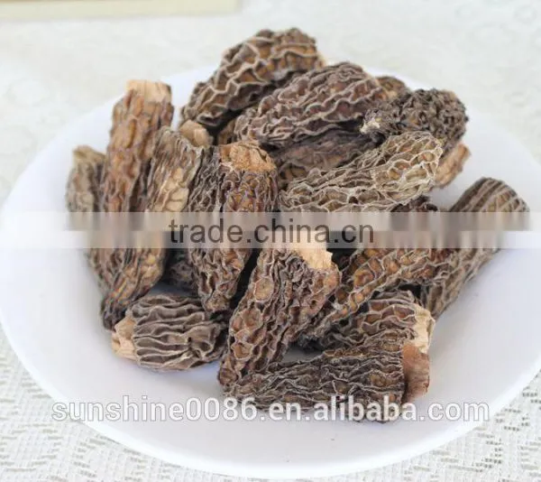 Morel Mushroom and Organic Raw Material photo-2