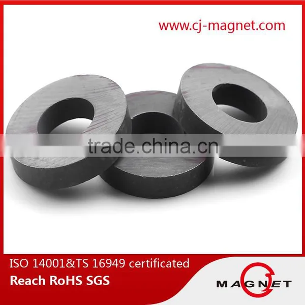 China Y10T Ferrite Magnets for Speakers photo-5