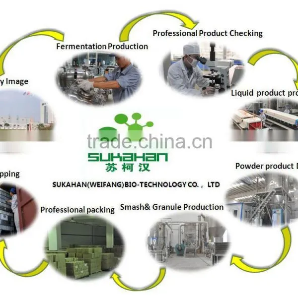 Denitration Product for Fish Pond Water Treatment photo-6