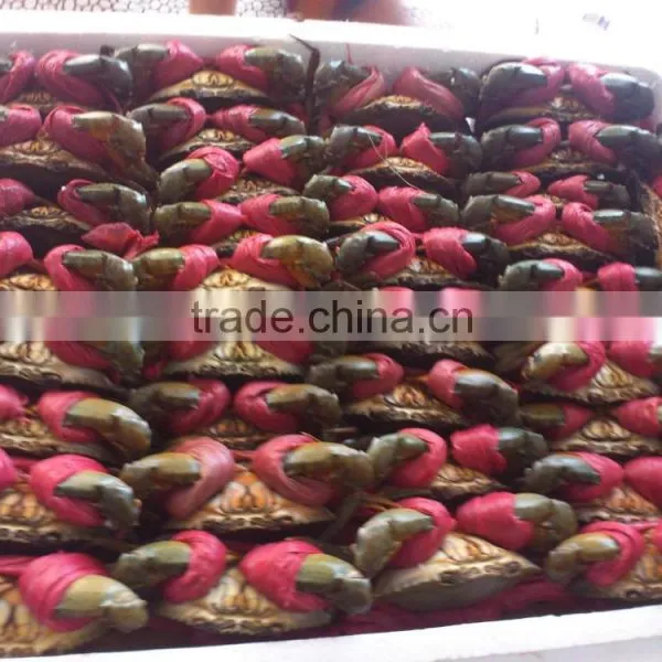 Live Flower Lobster (Panulirus Ornatus) and Mud Crab (Scylla Serrata), Live Tiger Prawn and Other Live Seafoods photo-5