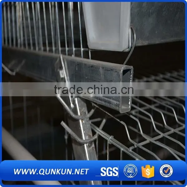 a Type Cheap Price Chicken Cage for Hen photo-4